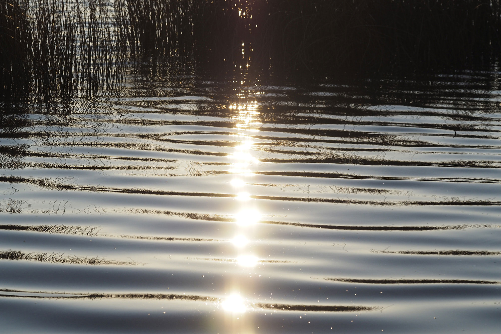 Landscape image 2