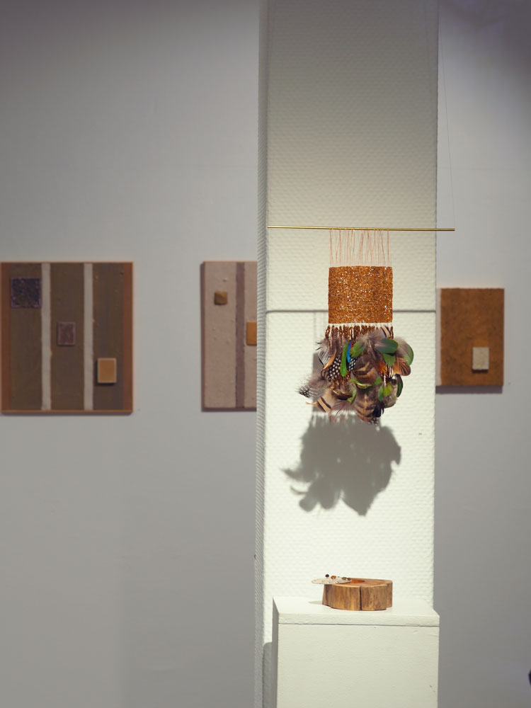 NATURA MORTA II exhibition installation with jewelry and wall works